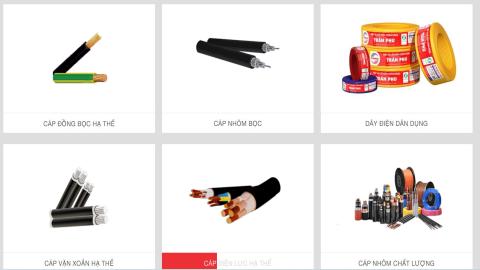Đào tạo cơ bản Dây và Cáp Điện